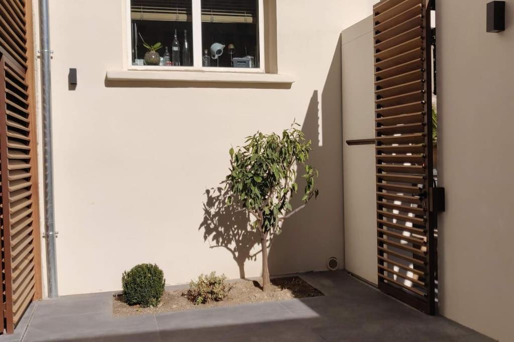 La Maison De Colette - Coeur De Village Cuxac-d'Aude ภายนอก รูปภาพ